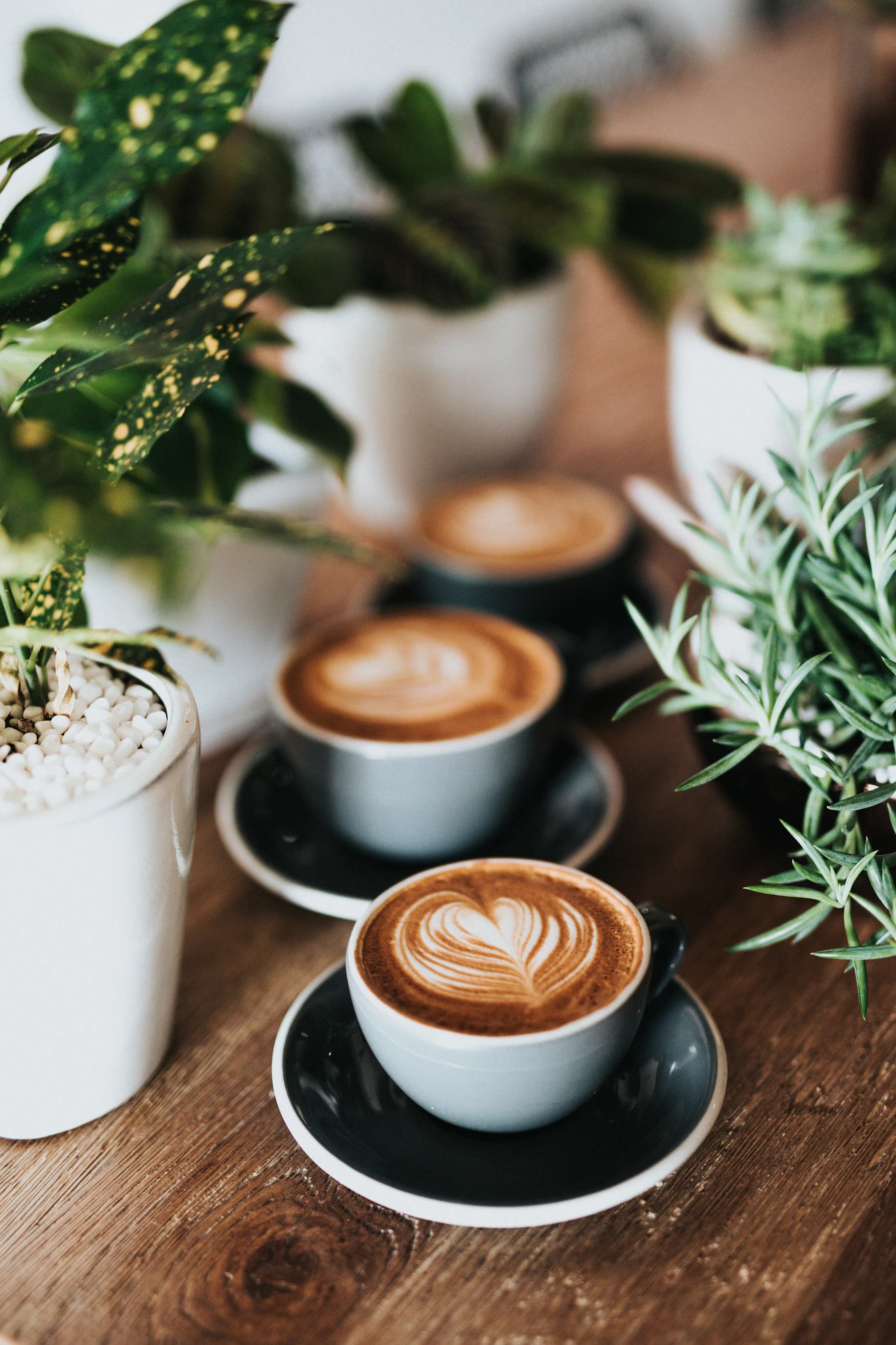 Brew — Ground to order and pulled with a ritual's patience — every cup, every time, on purpose.